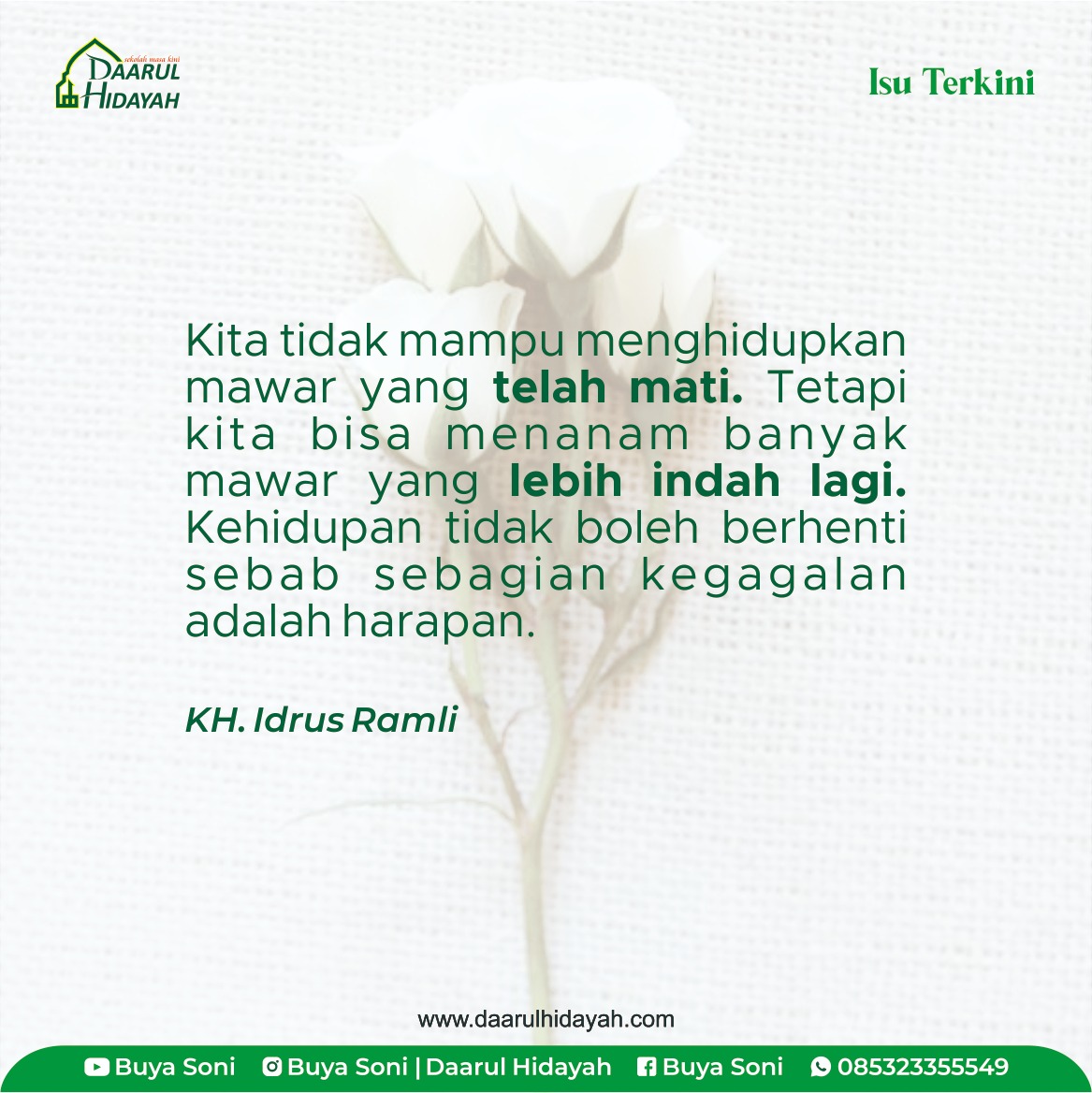 Menghidupkan mawar yang telah mati